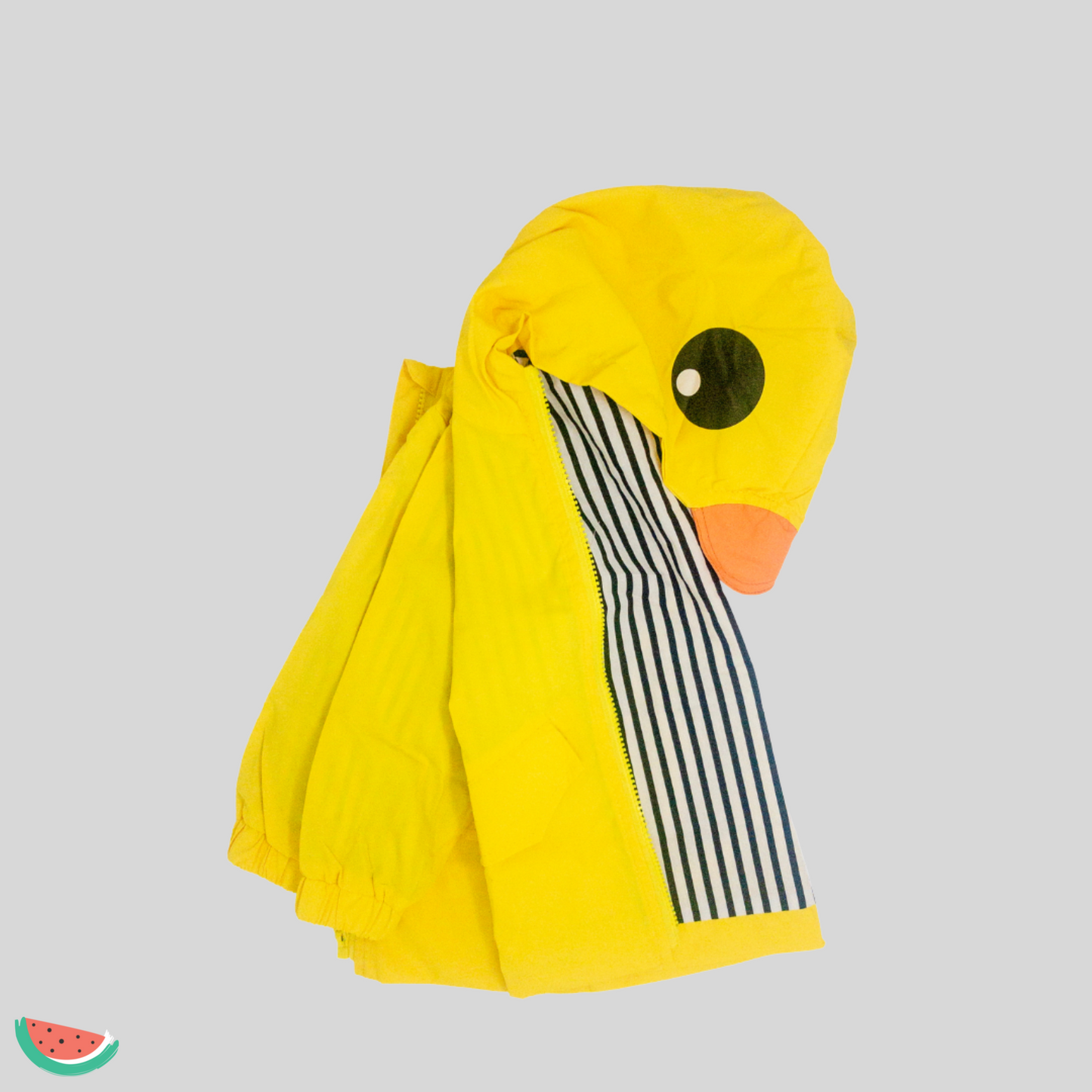 Duck Raincoat
