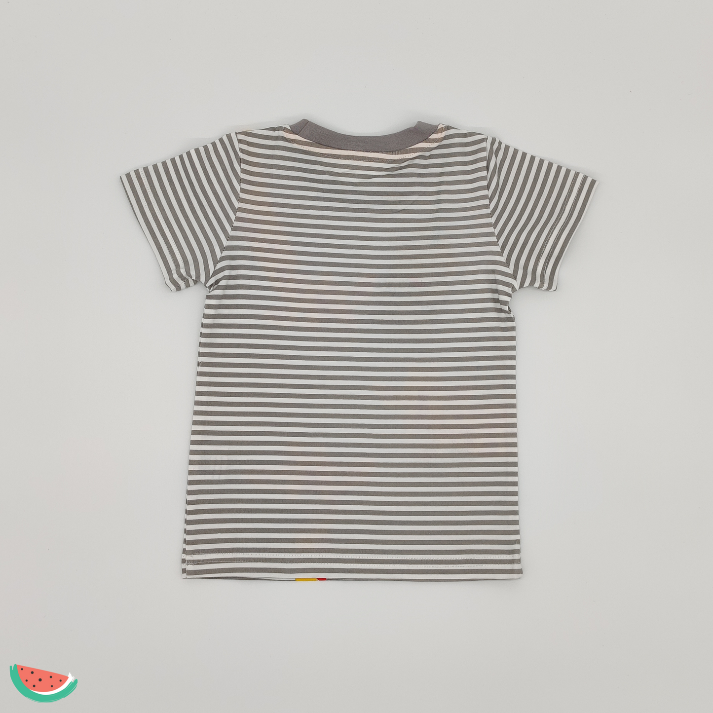 Giraffe Print Stripe T-shirt
