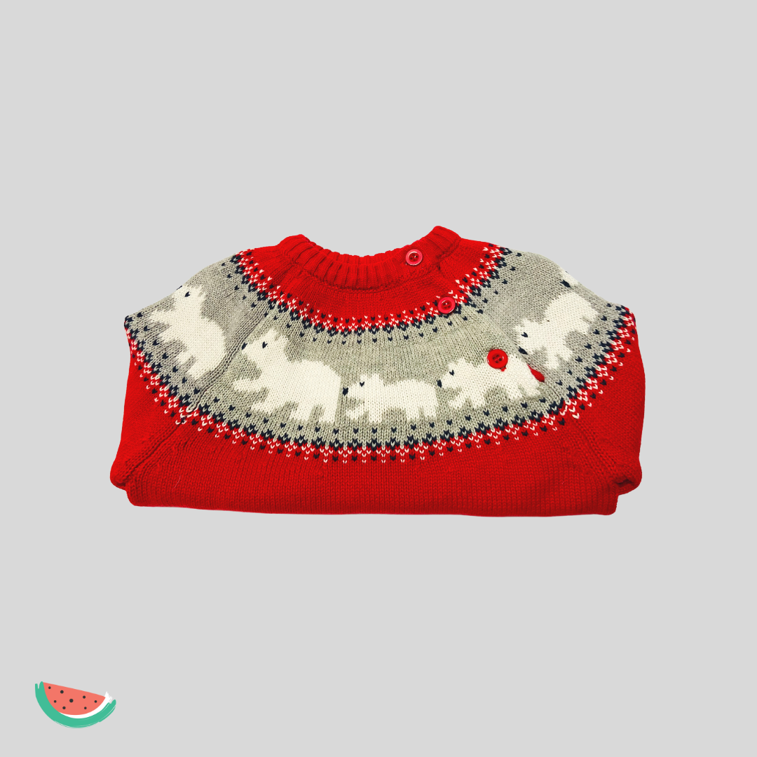 Red Winter Polar Jumper