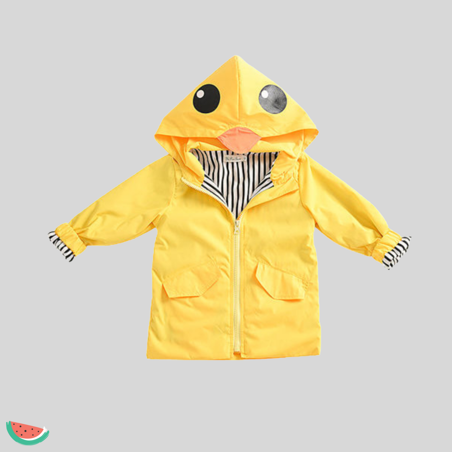 Duck Raincoat