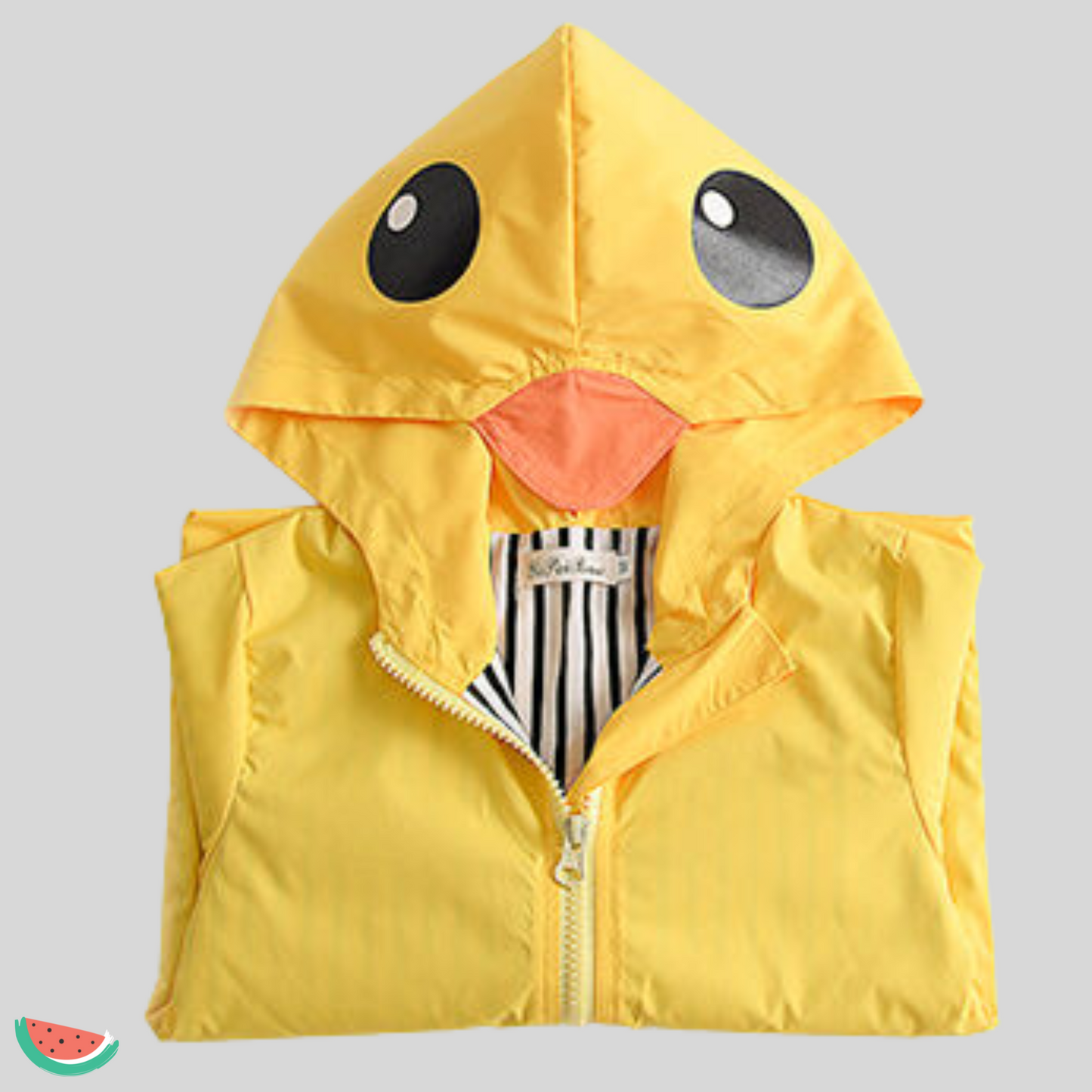 Duck Raincoat