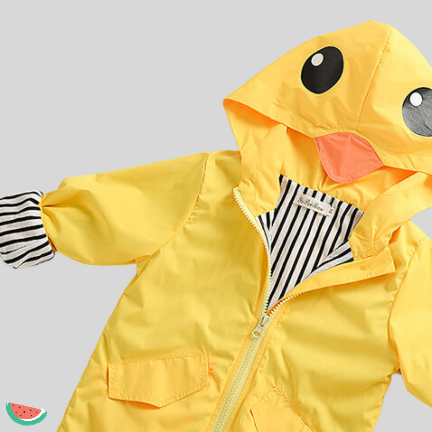 Duck Raincoat